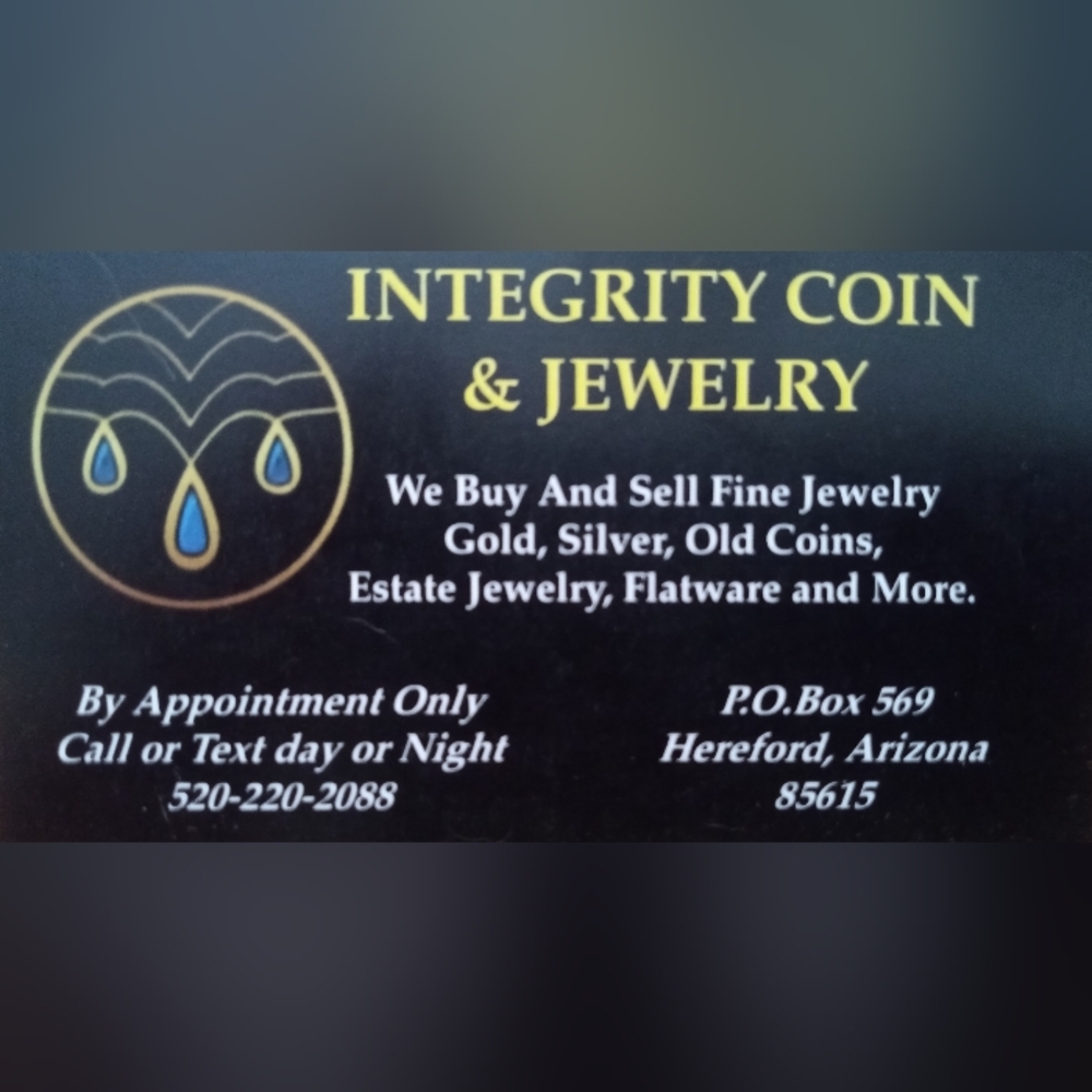 Fossilized Ammonite & Sterling Statement Necklace - image 3